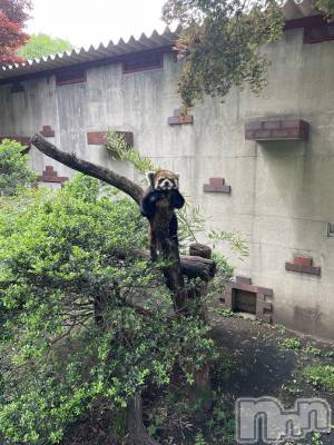 ��Ʋ����Х��顦�����clubTiara(�ƥ�����) �ͤͤ�3��20���̥�֥�����3��20�� 21��49ʬ�Υ֥�����