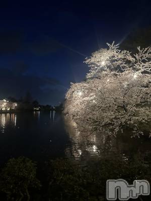 ��Ʋ����Х��顦�����clubTiara(�ƥ�����) �ͤͤ�4��11���̥�֥�����4��11�� 21��06ʬ�Υ֥�����