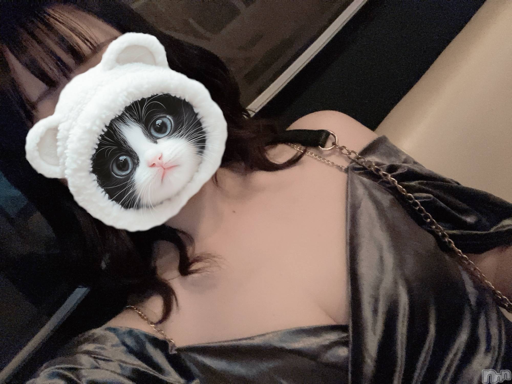 ܱХ顦֥ ץ ( ץ ޥĥ) 2025ǯ911̥֥🥂