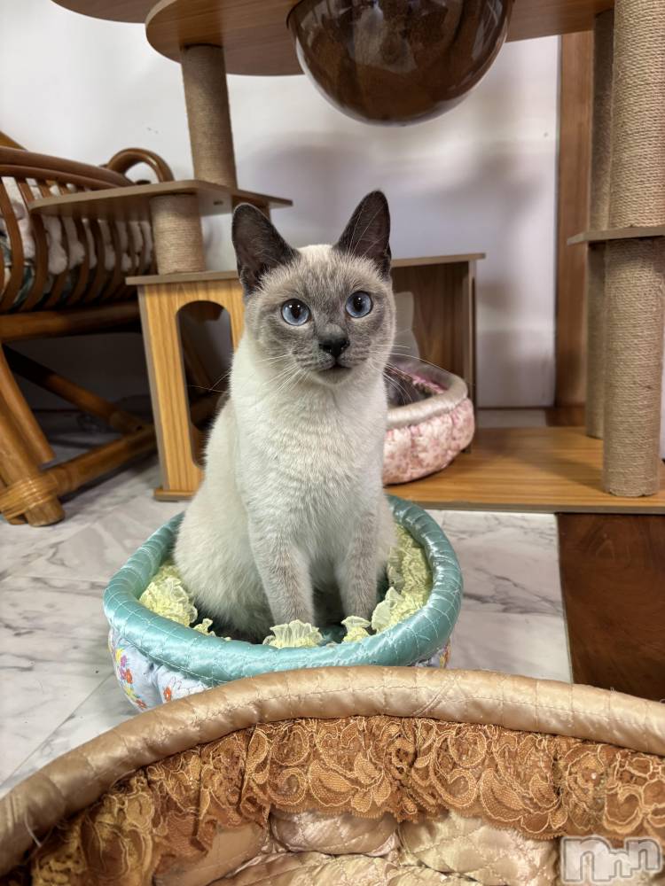 ��Ʋ����Х��顦�����CLUB��S(����֥���) �ߤ���8��31���̥�֥�����ǭ���ե�🐱��