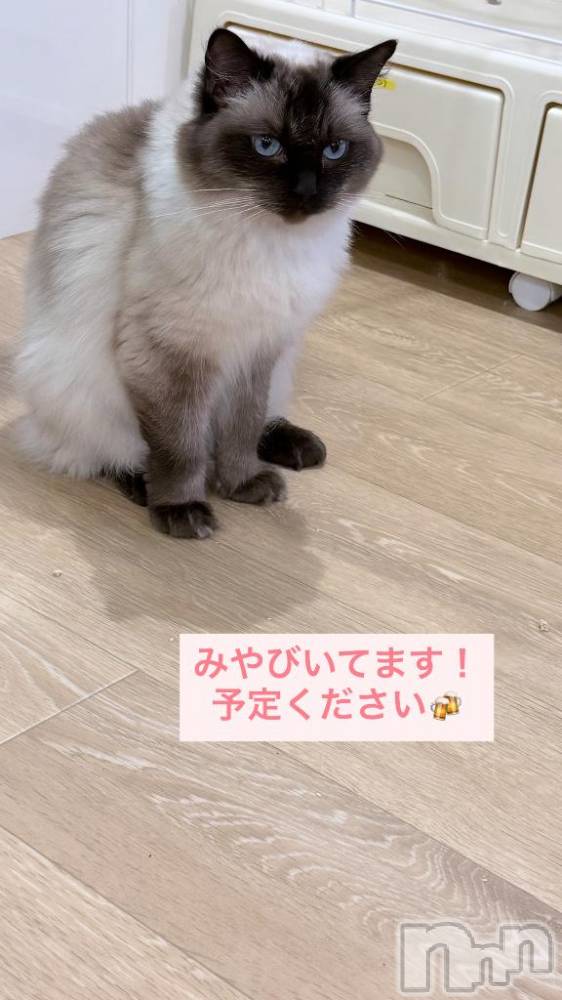 長岡デリヘルROOKIE(ルーキー) みやび☆完全業界未経験(20)の9月30日写メブログ「みやびしゅっ♡」