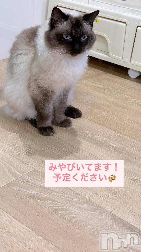 長岡デリヘルROOKIE(ルーキー)みやび☆完全業界未経験(20)の2026年9月30日写メブログ「みやびしゅっ♡」