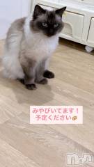 長岡デリヘルROOKIE(ルーキー) みやび☆完全業界未経験(20)の9月30日写メブログ「みやびしゅっ♡」