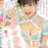 はるひ