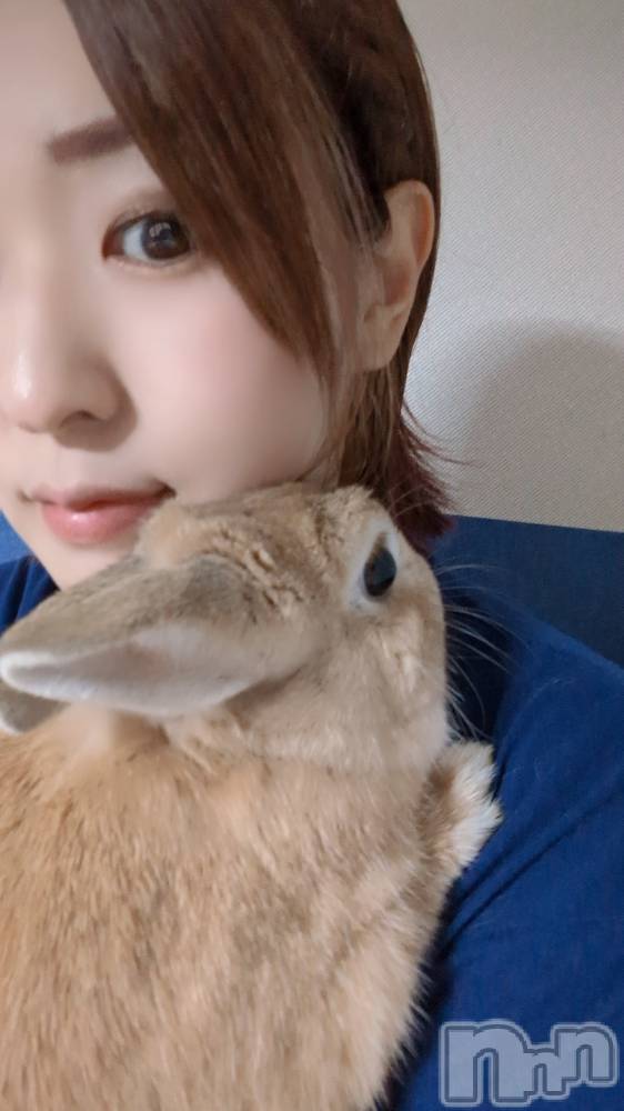 ��ë����Х��顦�����CLUB��Paladin(����֡��ѥ�ǥ���) ��̤�9��14���̥�֥�����((��(��///`�ء�///��)��))�̎ݎ̎ݡ�