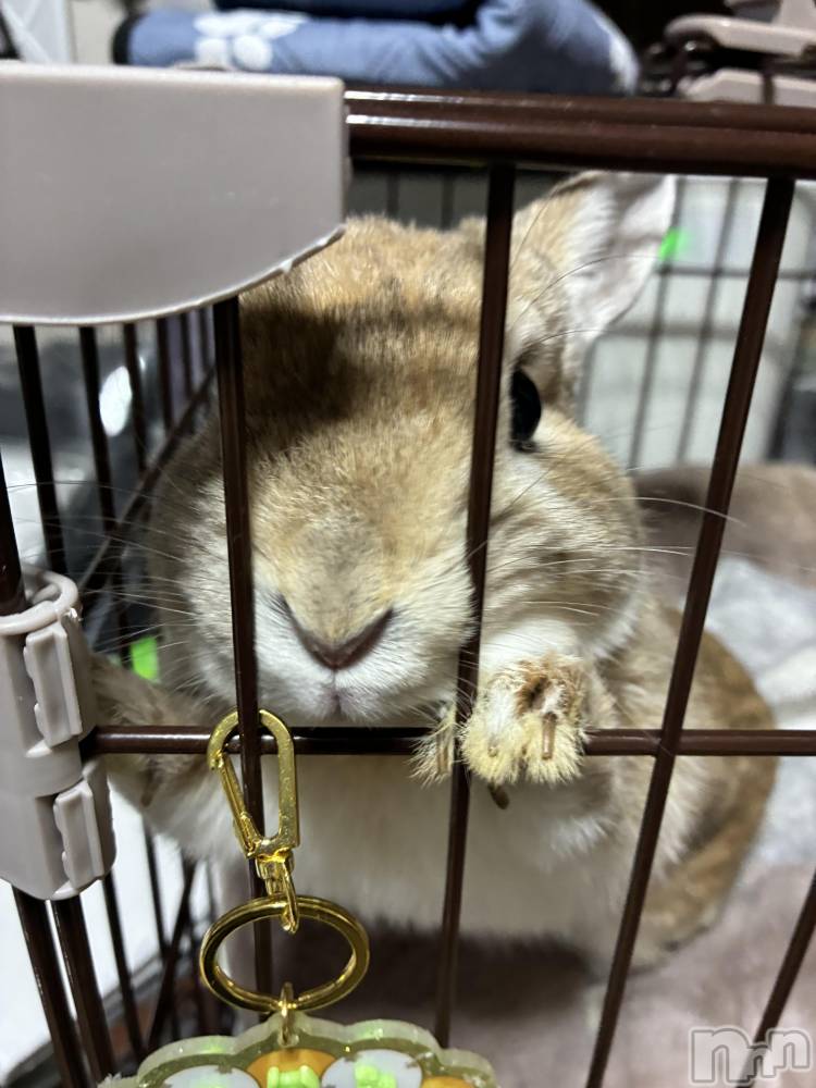 ��ë����Х��顦�����CLUB��Paladin(����֡��ѥ�ǥ���) ��̤�2��16���̥�֥����ֽ�̲�Ǥ�Ф���🐑💤��