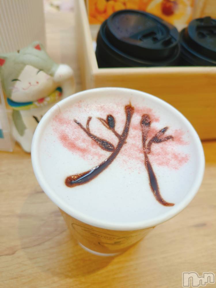 ��ë����Х��顦�����CLUB��Paladin(����֡��ѥ�ǥ���) ��̤�4��2���̥�֥����֥����ץ��ա���ʤ��(�æ�<��)������