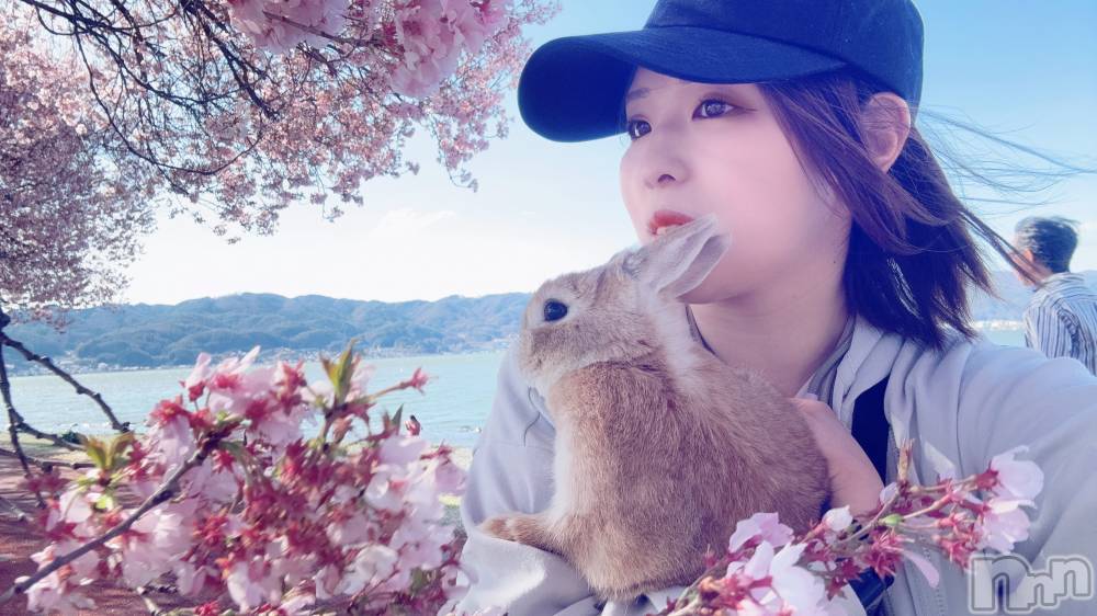 ��ë����Х��顦�����CLUB��Paladin(����֡��ѥ�ǥ���) ��̤�4��11���̥�֥����֤��ָ�🌸*����