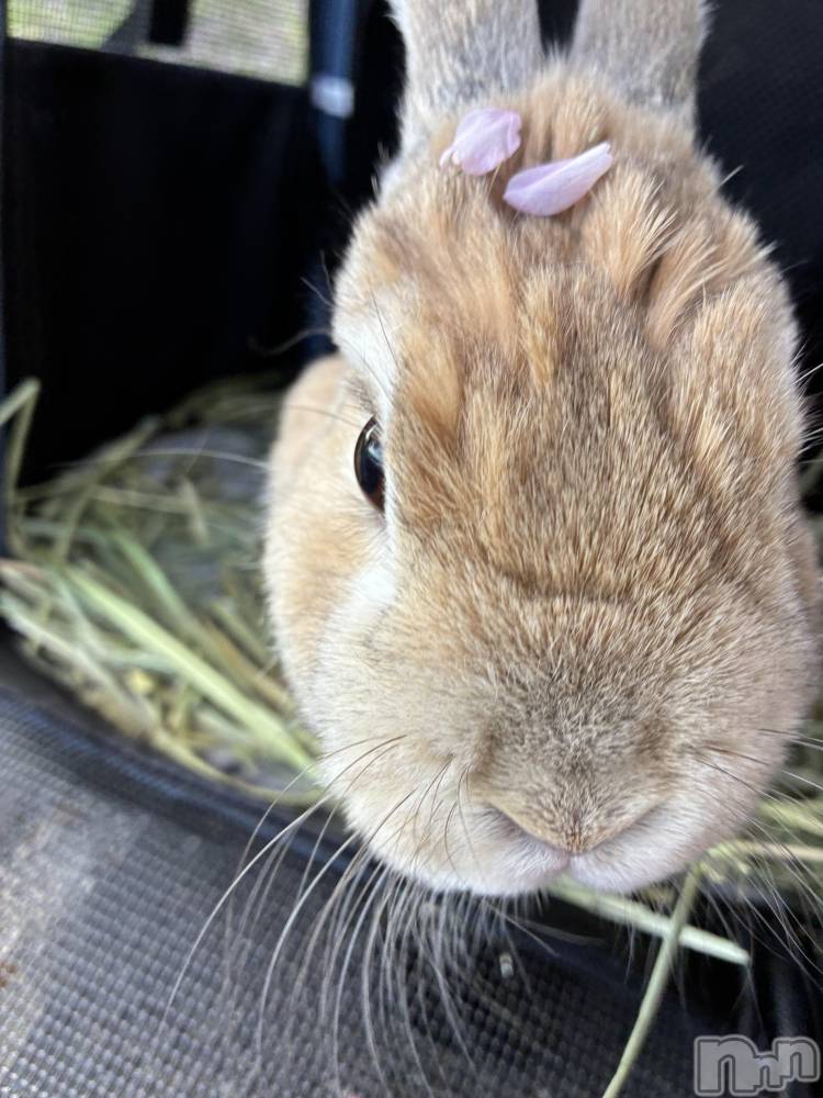 ��ë����Х��顦�����CLUB��Paladin(����֡��ѥ�ǥ���) ��̤�4��16���̥�֥����������Ƥޤ�‪👍🏻 ́-‬��