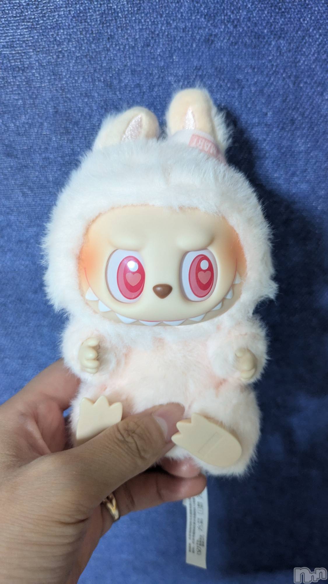 ��ë����Х��顦�����CLUB��Paladin(����֡��ѥ�ǥ���) ��2025ǯ9��13���̥�֥����֤�֤�( •᷄ὤ•᷅)��