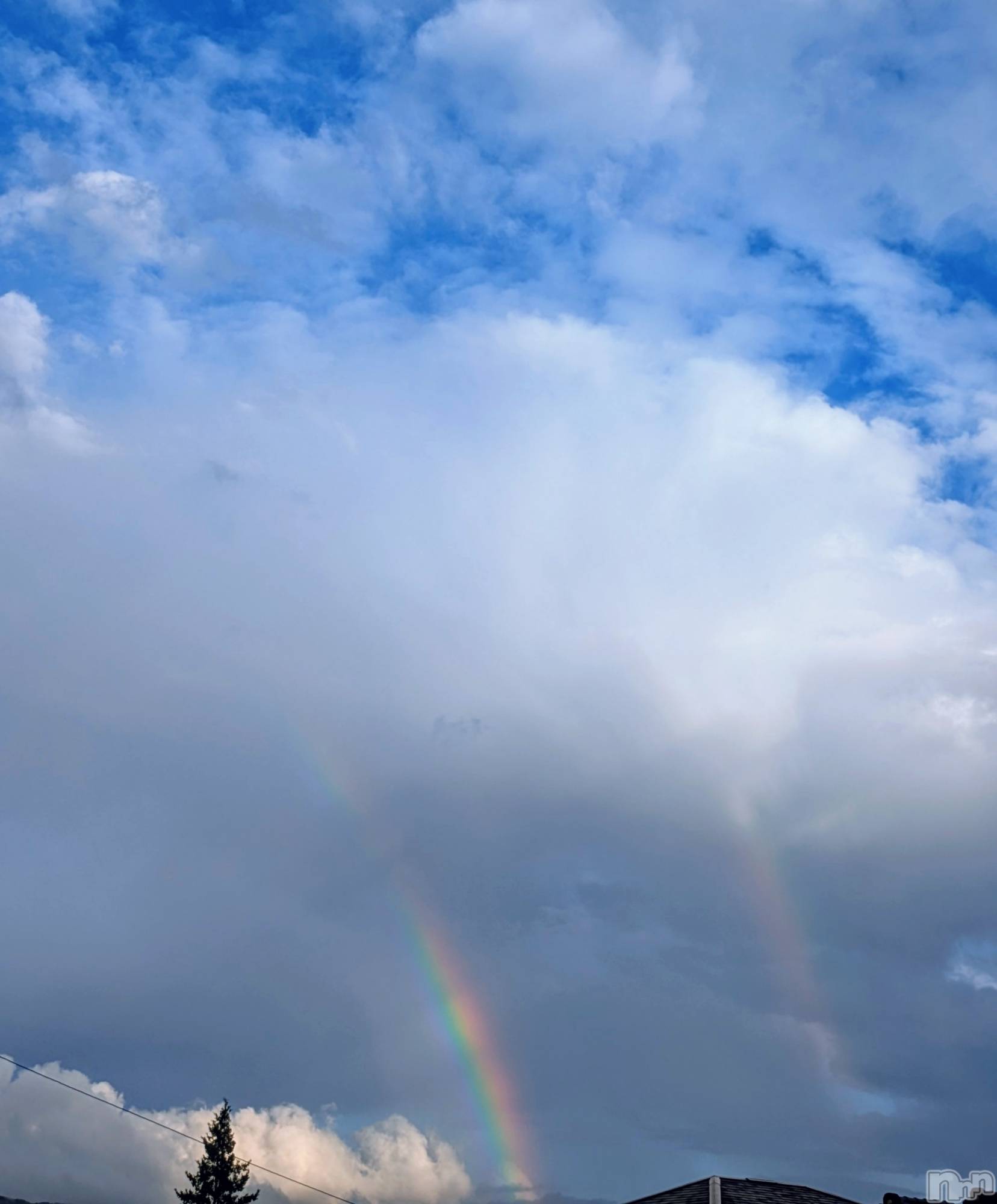 ��ë����Х��顦�����CLUB��Paladin(����֡��ѥ�ǥ���) ��2025ǯ10��2���̥�֥����֥��֥�쥤��ܡ�🌈ᵕ̈*��