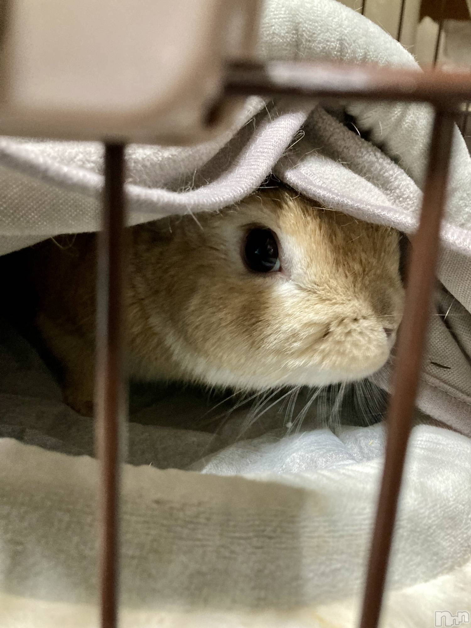 ��ë����Х��顦�����CLUB��Paladin(����֡��ѥ�ǥ���) ��2025ǯ12��9���̥�֥������Ͽ̤ˤ�������(`���ء���)��