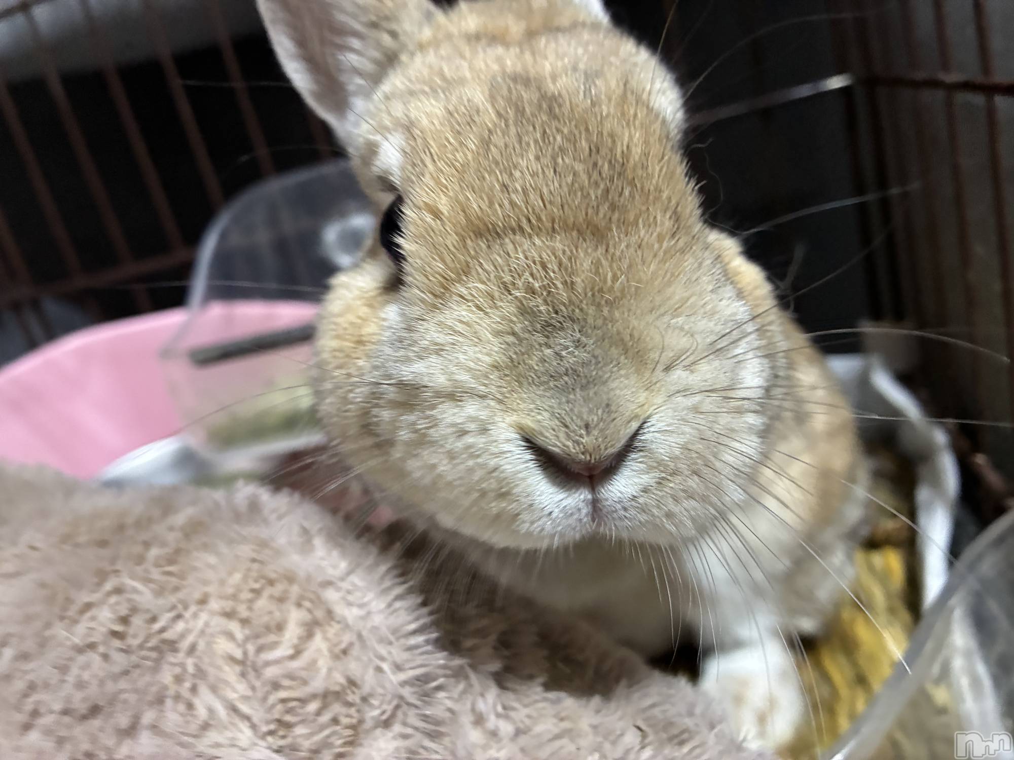 ��ë����Х��顦�����CLUB��Paladin(����֡��ѥ�ǥ���) ��2026ǯ3��31���̥�֥����ֺ���⤢�꤬�Ȥ��������ޤ���🍀*����