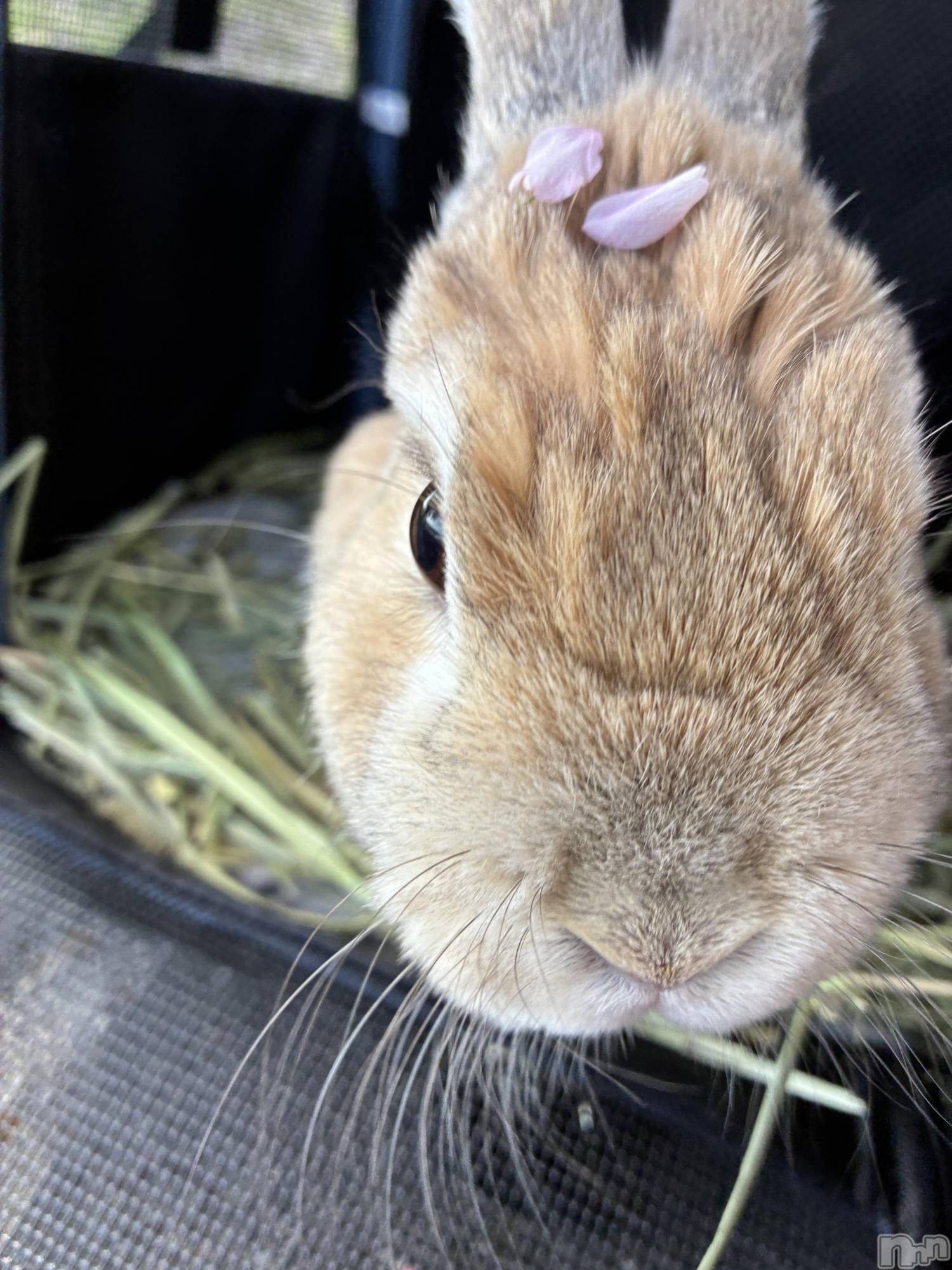 ��ë����Х��顦�����CLUB��Paladin(����֡��ѥ�ǥ���) ��2026ǯ4��16���̥�֥����������Ƥޤ�‪👍🏻 ́-‬��