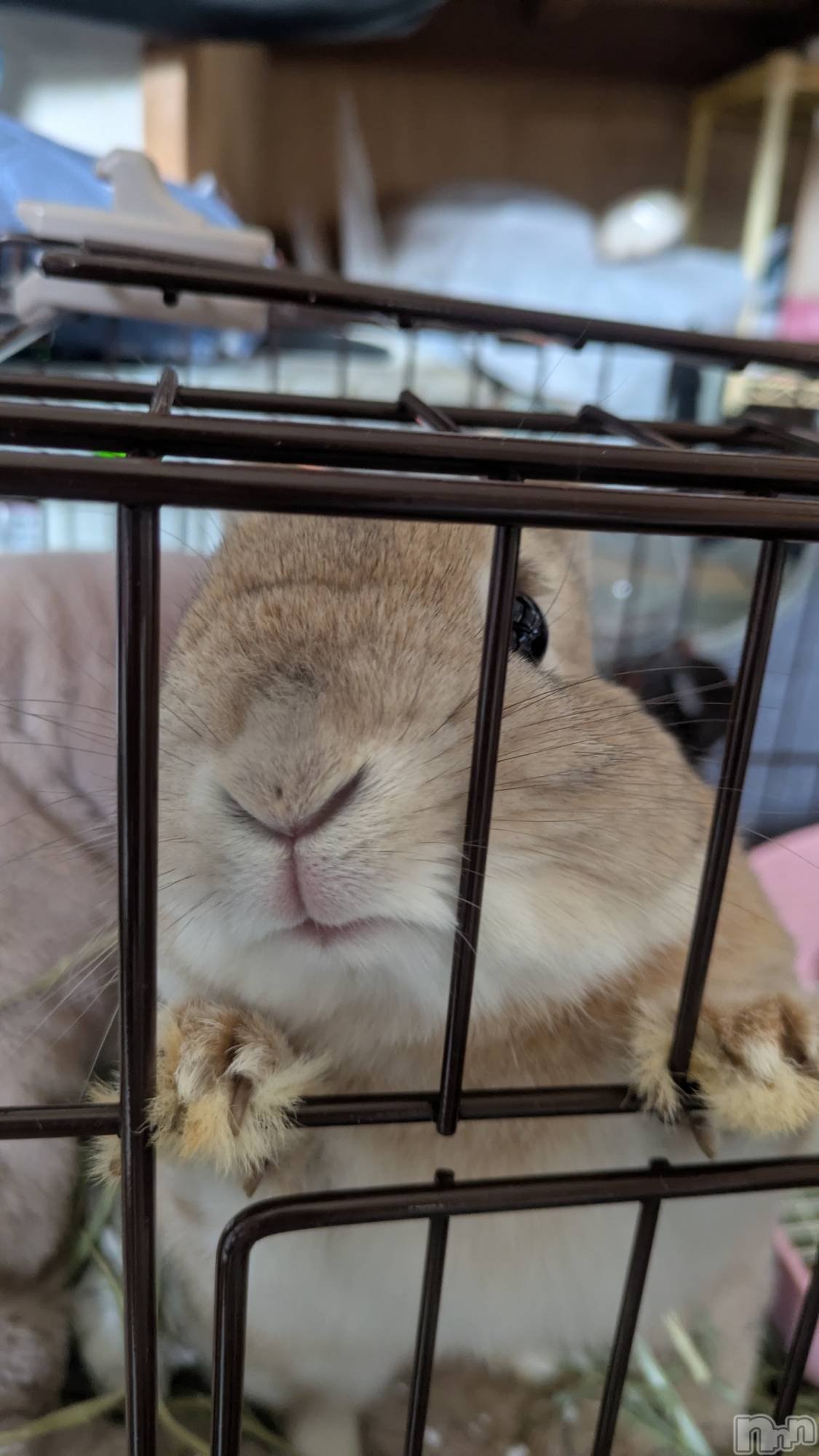 ��ë����Х��顦�����CLUB��Paladin(����֡��ѥ�ǥ���) ��2026ǯ4��17���̥�֥����ּ����鼡�ؤ�⁝( ;ᾥ;  )⁝��