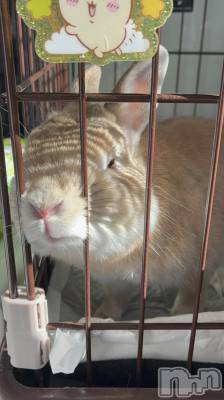 ��ë����Х��顦�����CLUB��Paladin(����֡��ѥ�ǥ���) ��̤�2��5���̥�֥����֤���ʷ�������(`���ء���)��