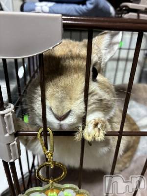 ��ë����Х��顦�����CLUB��Paladin(����֡��ѥ�ǥ���) ��̤�2��16���̥�֥����ֽ�̲�Ǥ�Ф���🐑💤��