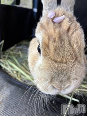 ��ë����Х��顦�����CLUB��Paladin(����֡��ѥ�ǥ���) ��̤�4��16���̥�֥����������Ƥޤ�‪👍🏻 ́-‬��