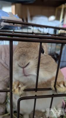 ��ë����Х��顦�����CLUB��Paladin(����֡��ѥ�ǥ���) ��̤�4��17���̥�֥����ּ����鼡�ؤ�⁝( ;ᾥ;  )⁝��