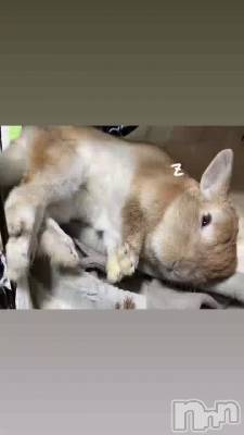 �̤�����ߤ��Ȼפ���(�����Ϗ�롮)�̎���w