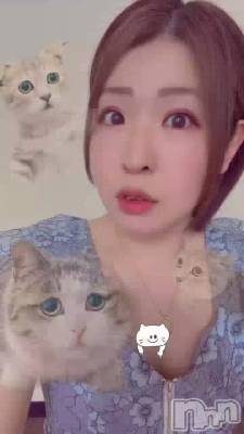 �ˤ��ˤ��ˤ�����🐈⸒⸒⸒⸒