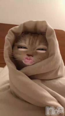 ǭ�ˤʤꤿ����(៸៸᳐���ئ�៸៸᳐)