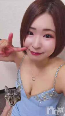 �ɥ饴��ܡ���( ᐛ )