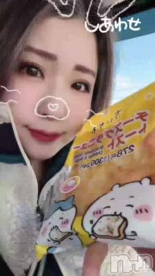 ��ʪ�ι�����(* ᐕ)��