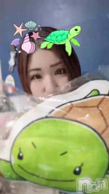 🐢🐢🐢🐢🐢🐢🐢