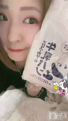 �����ѥ�🐄⸒⸒