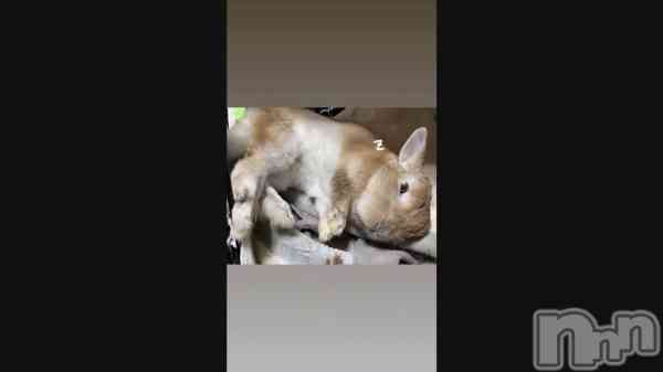 �֤̤�����ߤ��Ȼפ���(�����Ϗ�롮)�̎���w��