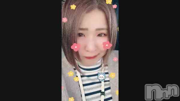 �ֽդ菰�( ����؏�� ���)�����������( ����؏�� ���)����������