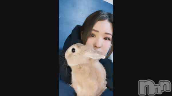 �֤��ä�����դ��𐔌ᵔ꜆ ܸ•⩊•ᵔ 𐦯꜆��