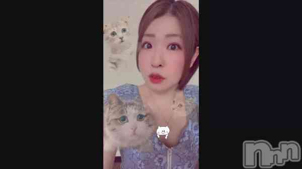 �֤ˤ��ˤ��ˤ�����🐈⸒⸒⸒⸒��