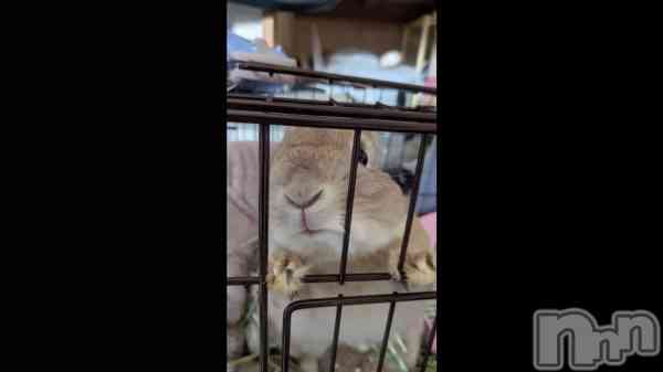 �֤��ꤳ���ʤ�Ǥ�🐇⸒⸒��