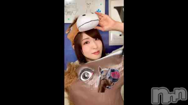 ��🐴�ˎˎ��ݡ�