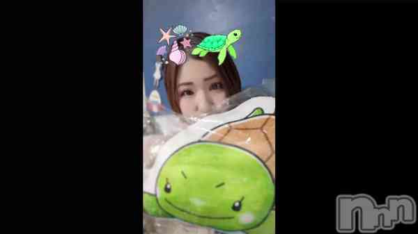 ��🐢🐢🐢🐢🐢🐢🐢��