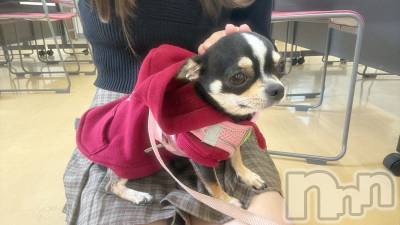 Įʥå륺Сconcept bar Citron(󥻥ץȥСȥ) (20)1010̥֥֤ᐡ-ﻌ-ᐡ