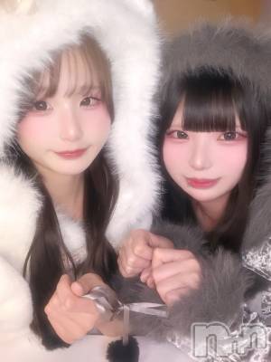 ��Į���ʥå��������륺�С�concept bar Citron(���󥻥ץȥС����ȥ���) ���(20)��1��23���̥�֥����֤��त��