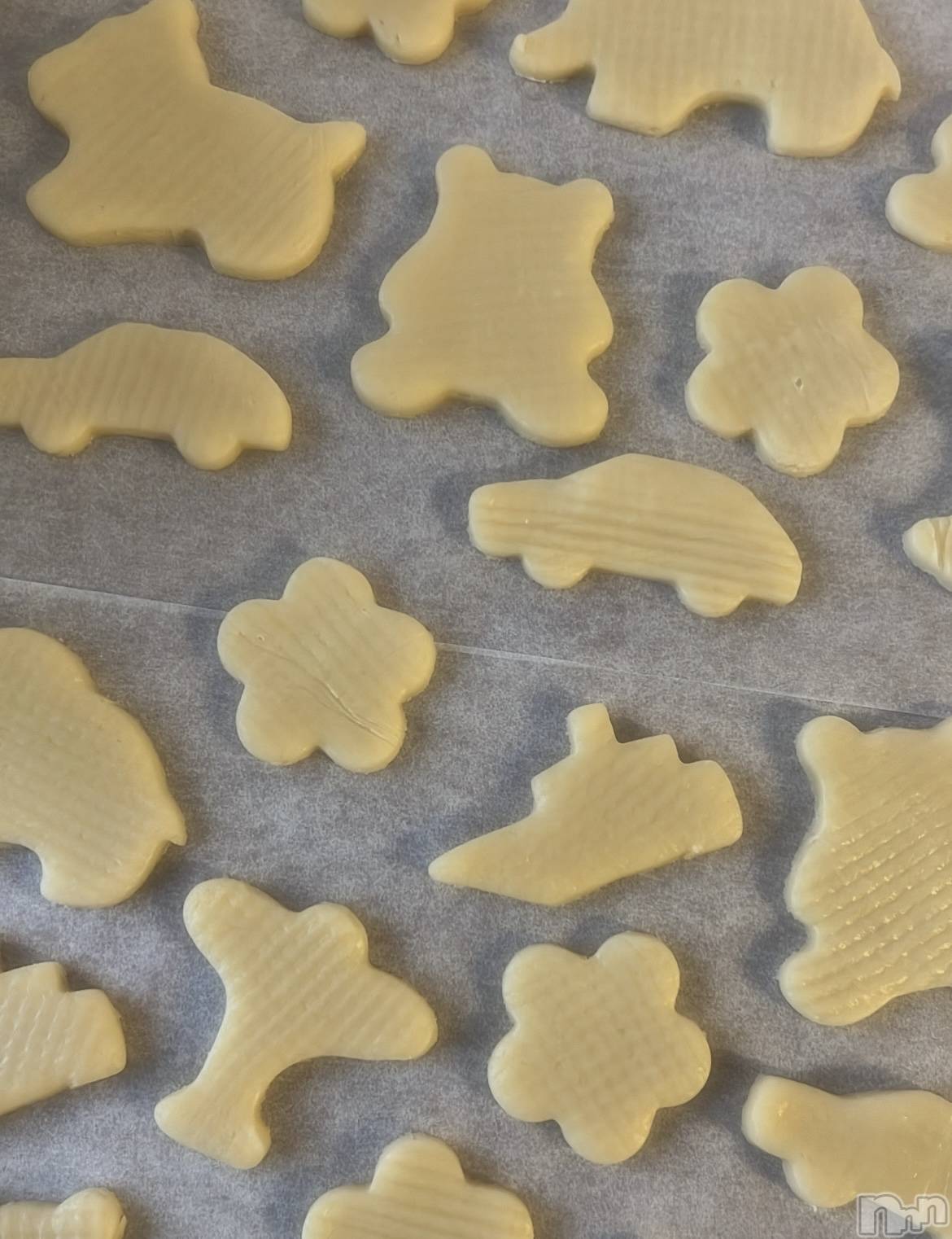 ��Į���ʥå��������륺�С�concept bar Citron(���󥻥ץȥС����ȥ���) ��2026ǯ2��26���̥�֥����֡�🍪•᎑•🍪�ˡ�