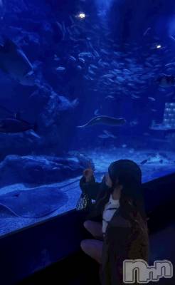 ��Į���ʥå��������륺�С�concept bar Citron(���󥻥ץȥС����ȥ���) �椢��2��3���̥�֥�����2��ʤäƤ�����