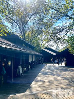 新潟デリヘル Office Amour(オフィスアムール) 体験ななせ/エステ課(32)の10月9日写メブログ「ななせのワンちゃんに♡？」