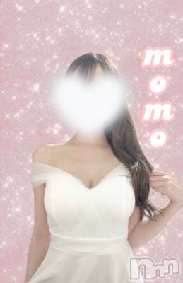 㡦ȯĥꥢ󥺥AMBERС(С) ɴ(24)97̥֥֤Τ🎀💞