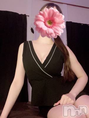 㡦ȯĥꥢ󥺥AMBERС(С) ɴ(24)916̥֥ɲýж💕💕