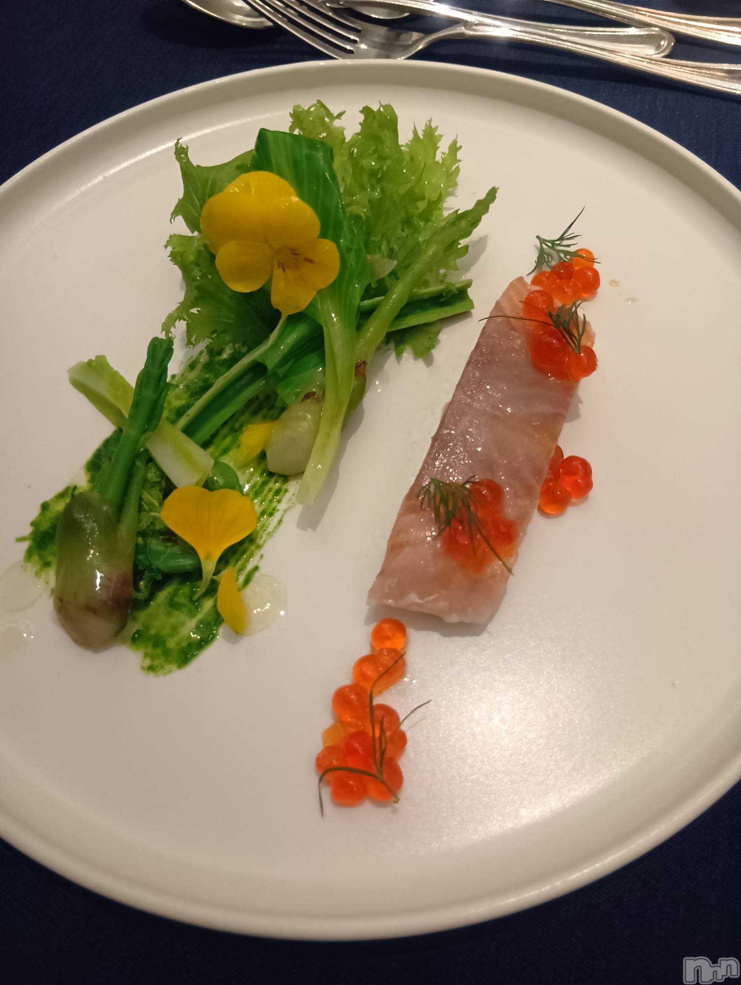 �����������Х��顦����ֽϽ�����Х��� Lips(���奯���祭��Х����åץ�) ��2026ǯ3��14���̥�֥����ֿ�̣������֤���