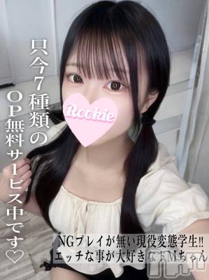 りり(20) 身長161cm、スリーサイズB87(E).W56.H85。長岡デリヘル ROOKIE(ルーキー)在籍。