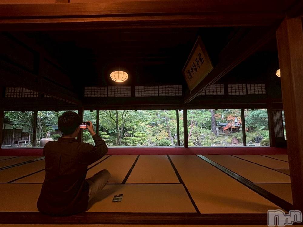 ĮۥȡܡСA151(ݥ)  Ƥ115̥֥λ