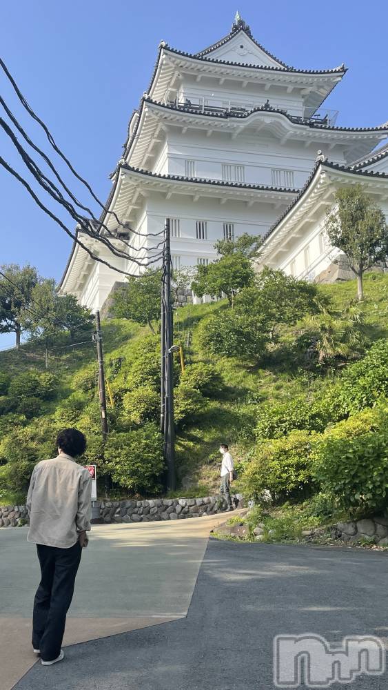 ĮۥȡܡСA151(ݥ)  Ƥ118ֳ̥֥ʤ褯Ƨ߳