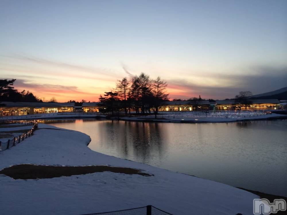 ĮۥȡܡСA151(ݥ)  Ƥ1112̥֥֤㤤