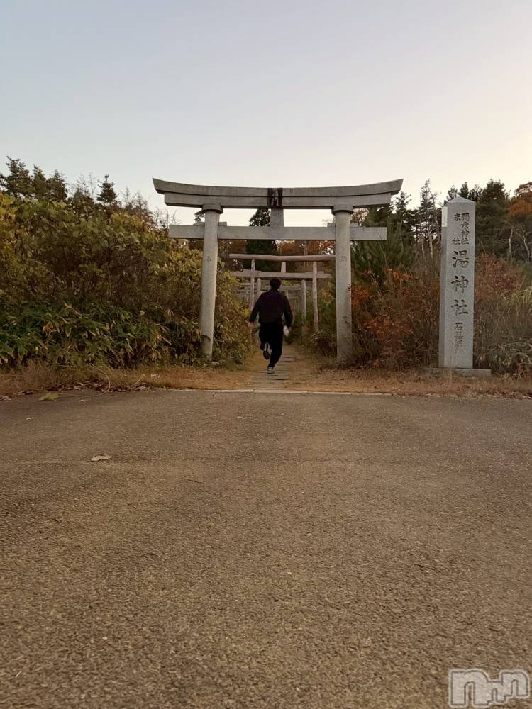 ĮۥȡܡСA151(ݥ)  Ƥ1119̥֥ɤä褫